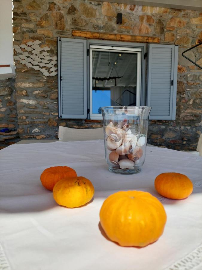 Villa Johell Neos Marmaras Dış mekan fotoğraf