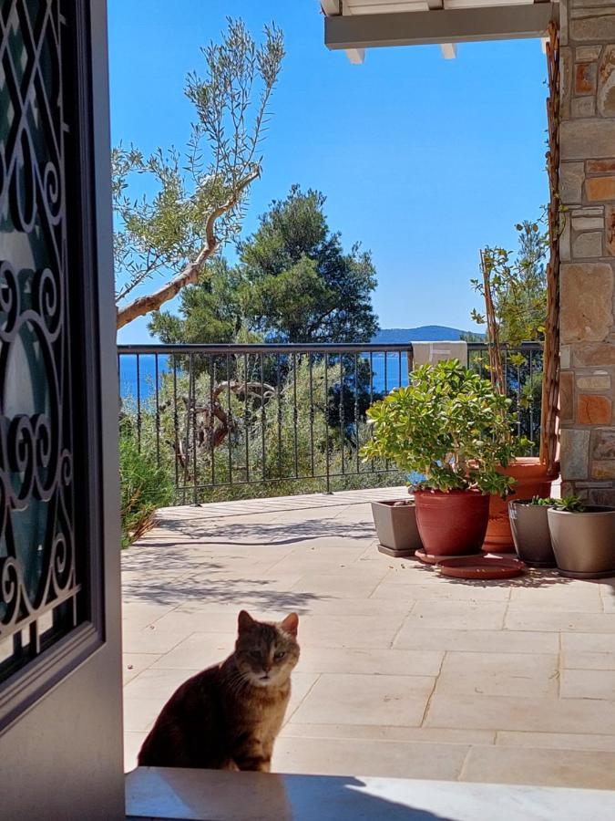 Villa Johell Neos Marmaras Dış mekan fotoğraf